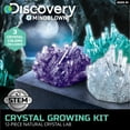 thumbnail image 5 of Discovery™ #Mindblown 12-Piece Natural Crystal Growing Science Kit, for Kids & Teens, 5 of 10