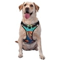 thumbnail image 1 of Balery Sea Turtle in Coral Arnés para Perros Grandes Antitirones, Arnés con Correa para Gato, Arnés Tipo Chaleco para Perros Pequeños-Medium, 1 of 6
