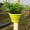 Green, variant on Homesteed Hanging Planter Railing Pot Balcony Decor Flower Pots for Outdoor Plants Wall Hanging Planter for Garden Fence and Water Pipe