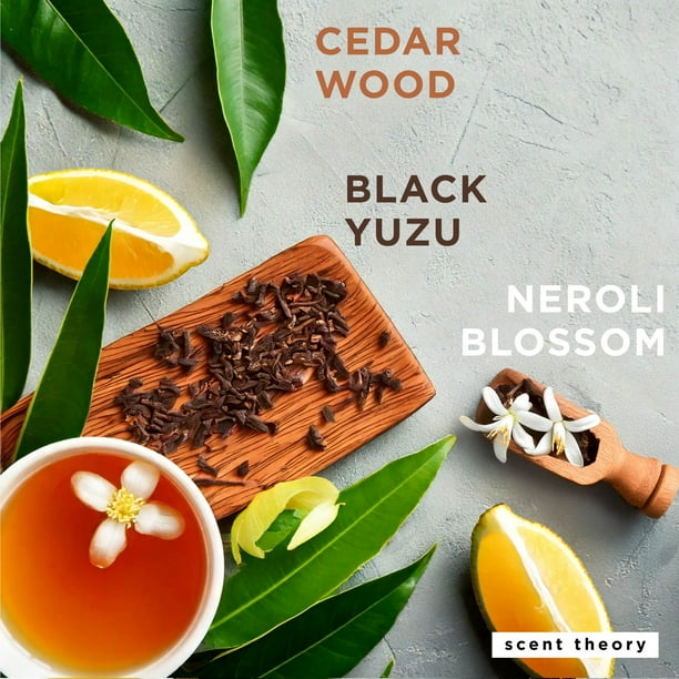 Cedar & Citrus Hand Soap | Eco foam soap for ecommerce - Walmart