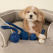 Harry Barker Cotton Rope Tug and Toss Dog Toy, Blue, Large