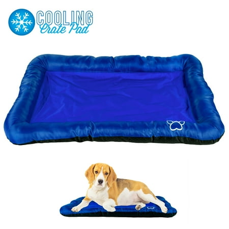 Food In Dog Crate Food In Dog Crate