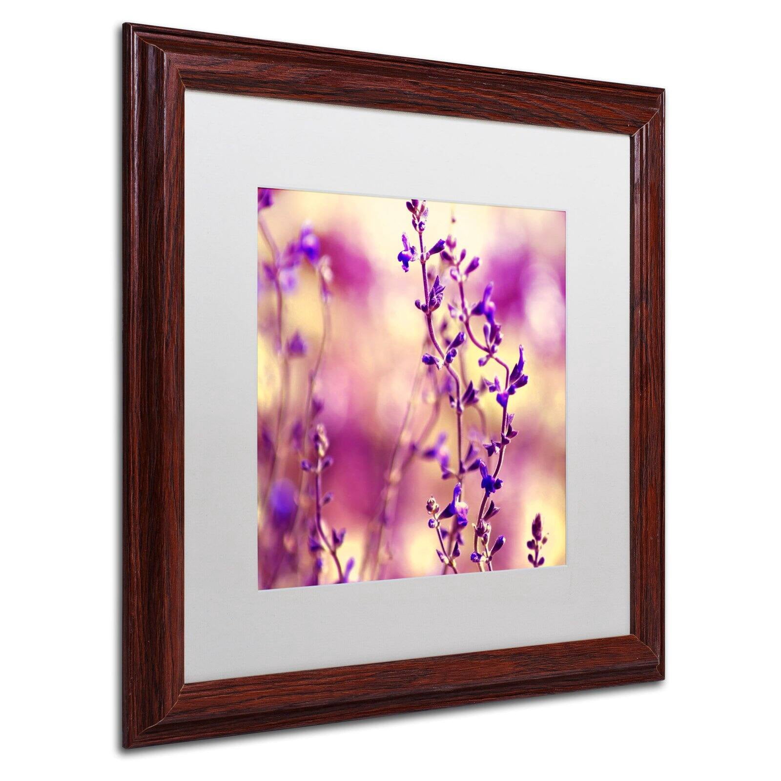 Trademark Fine Art "Summer Melodies" Canvas Art by Beata Czyzowska Young White Matte, Black Frame