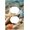 Style S, variant on Decorator Light Switch Covers 1 Gang Wall Plate Single Duplex Receptacle Outlet Covers Starfish Coral and Seashell Wall Plates for Electrical Outlets Plug Cover Mid Size 5" x 3"