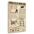 thumbnail image 1 of Border Collie Dog Knowledge Poster Educational Wall Art Infographic Poster Kitchen Artwork Living Room Rectangular Painting Decor Aesthetic Picture Canvas Unframed 24×36 in, 1 of 5
