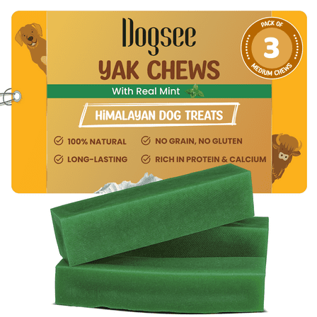 Dogsee Mint Flavor Himalayan Yak Chews for Dog (Monster - 3 Chews) | Aid Digestion | Chew for Teeth Cleaning | Odorless Treats
