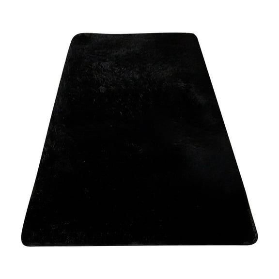 LKWLPD Soft Fluffy Black Area Rug – Modern 2x3 Foot Floor Carpet for Bedroom, Playroom & Low-Traffic Home Decor​​