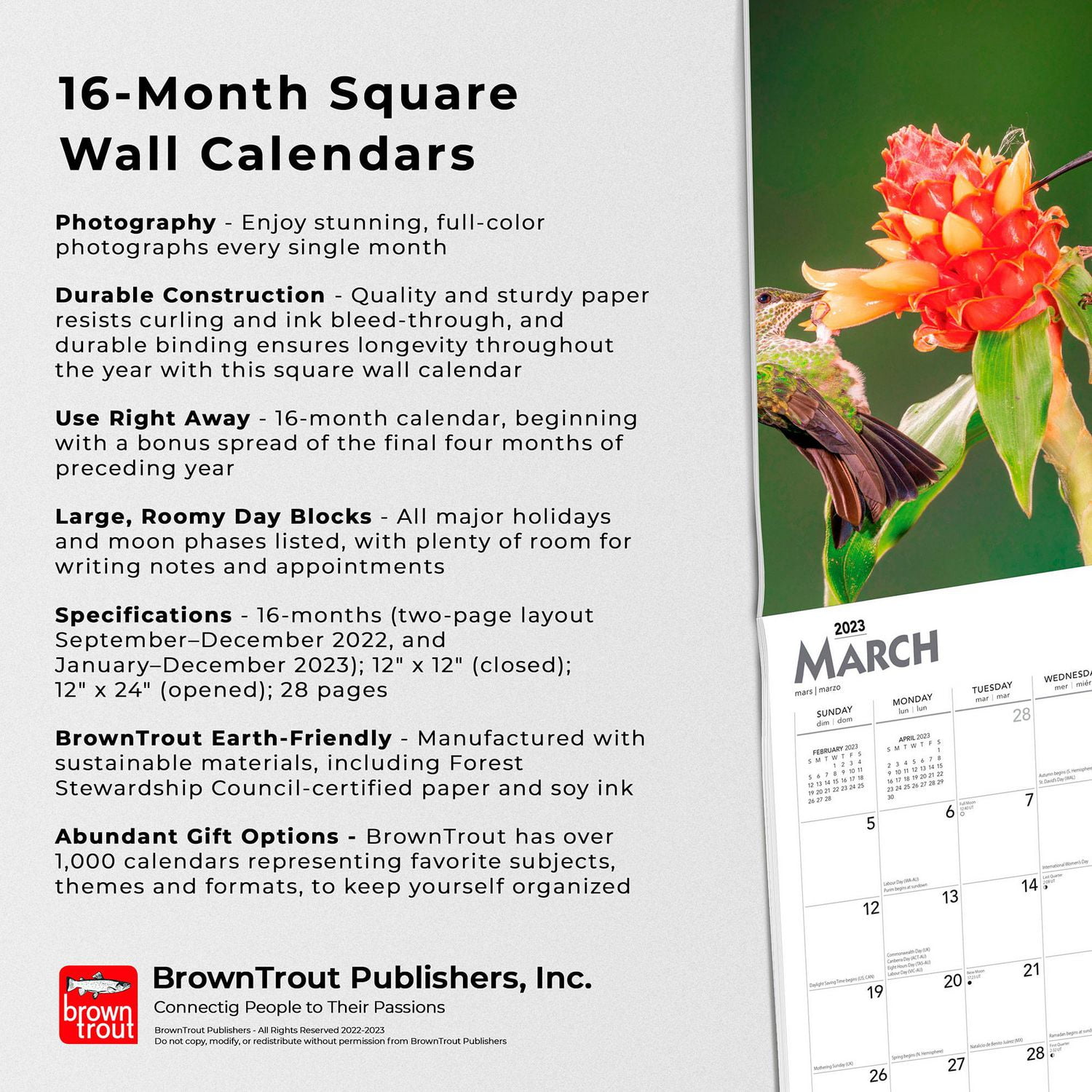 Hummingbirds 2023 Square