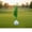 Green rope ball, variant on Zeiwohndc Golf Swing Trainer With High Strength Rope Ball For Indoor Outdoor Practice