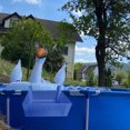 thumbnail image 3 of Framed Pool Storage Basket  Adult Floor Removable  Pool Hanging Accessories Toy Storage Bucket, 3 of 8