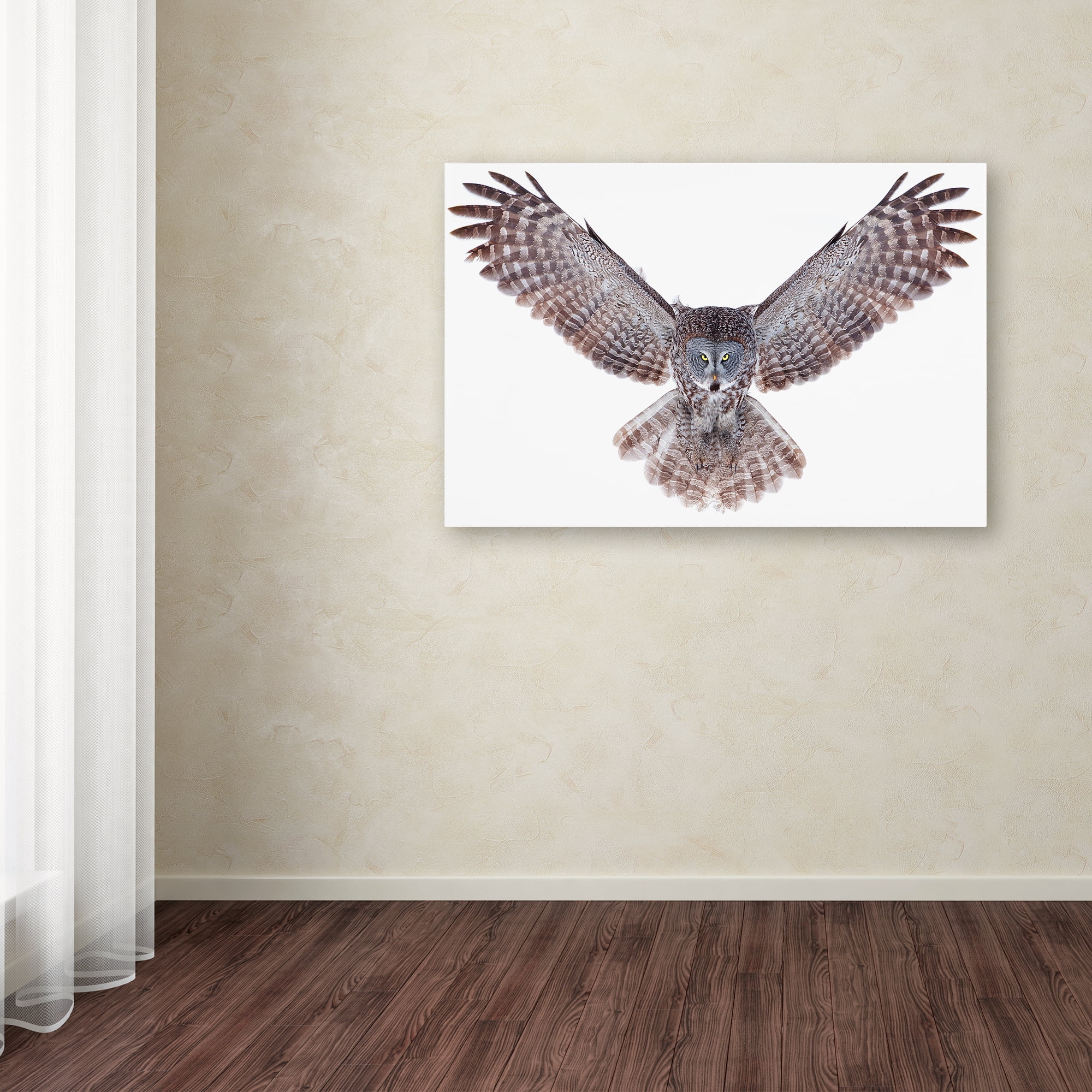 Trademark Fine Art 'Great Grey Owl' Canvas Art by Jim Cumming