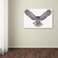 thumbnail image 3 of Trademark Fine Art 'Great Grey Owl' Canvas Art by Jim Cumming, 3 of 3