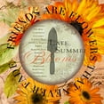 thumbnail image 2 of Art Licensing Studio 20x20 White Modern Wood Framed Museum Art Print Titled - Circled Florals 2, 2 of 4