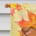 thumbnail image 3 of Carolines Treasures BB9981CHF Sheltie Fall Flag - Taille de la Maison en Toile, 3 of 4