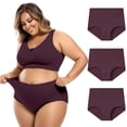 thumbnail image 3 of TEVEQ 3 Pack Seamless Underwear for Women Full Coverage Soft Stretch Panties Women's Regular & Plus Size Xs 5Xl Cotton Underwear High Waisted Briefs 3 Pack Y L, 3 of 3