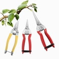 thumbnail image 4 of Tijeras de podar de acero inoxidable para jardín Tijeras de podar para jardín Tijeras para fruta fina para huerto Tijeras para recolectar fruta Tijeras para recolectar fruta Tijeras de jardinería, 4 of 5