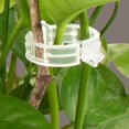 thumbnail image 3 of Joernso 100/200/300Pcs Plant Support Clips Plastic White Green Plant Garden Clip Pepper Eggplant Fixer Tomato Clips Vine Fixing Clips Easy to Use Gardening Tool, 3 of 8
