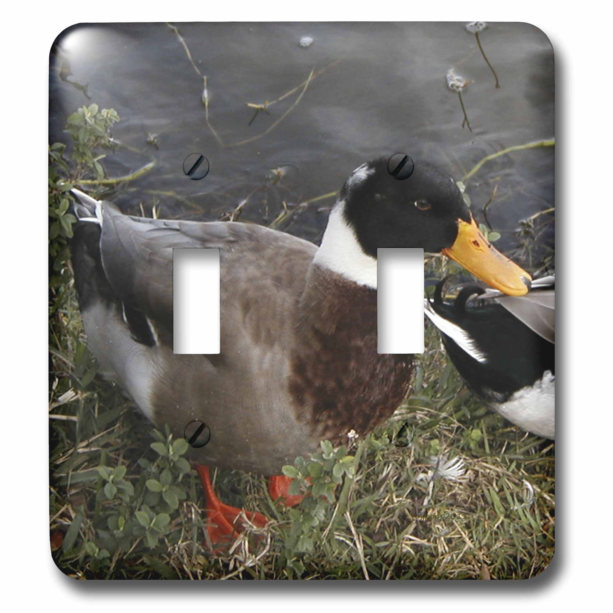 3dRose lsp_50354_2 Male Mallard Duck Wet Toggle Switch 