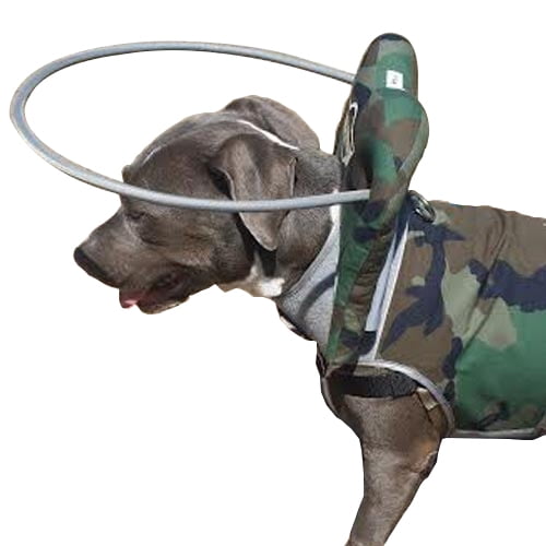 Muffin?s Halo Blind Dog Harness Guide Device ? Help for Blind Dogs or