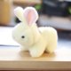 thumbnail image 1 of Precioso muñeco de peluche de conejo y oso, conejo, llavero, colgante de bolsa, juguetes de peluche, regalo de cumpleaños para bebés y niños, conejo de juguete, anillo, 1 of 5