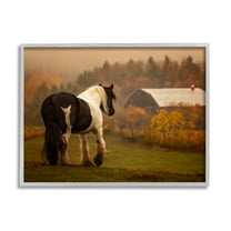 Stupell Industries Horse Overlooking Barn Landscape Photography Gray Framed Art Print Wall Art, 30 x 24