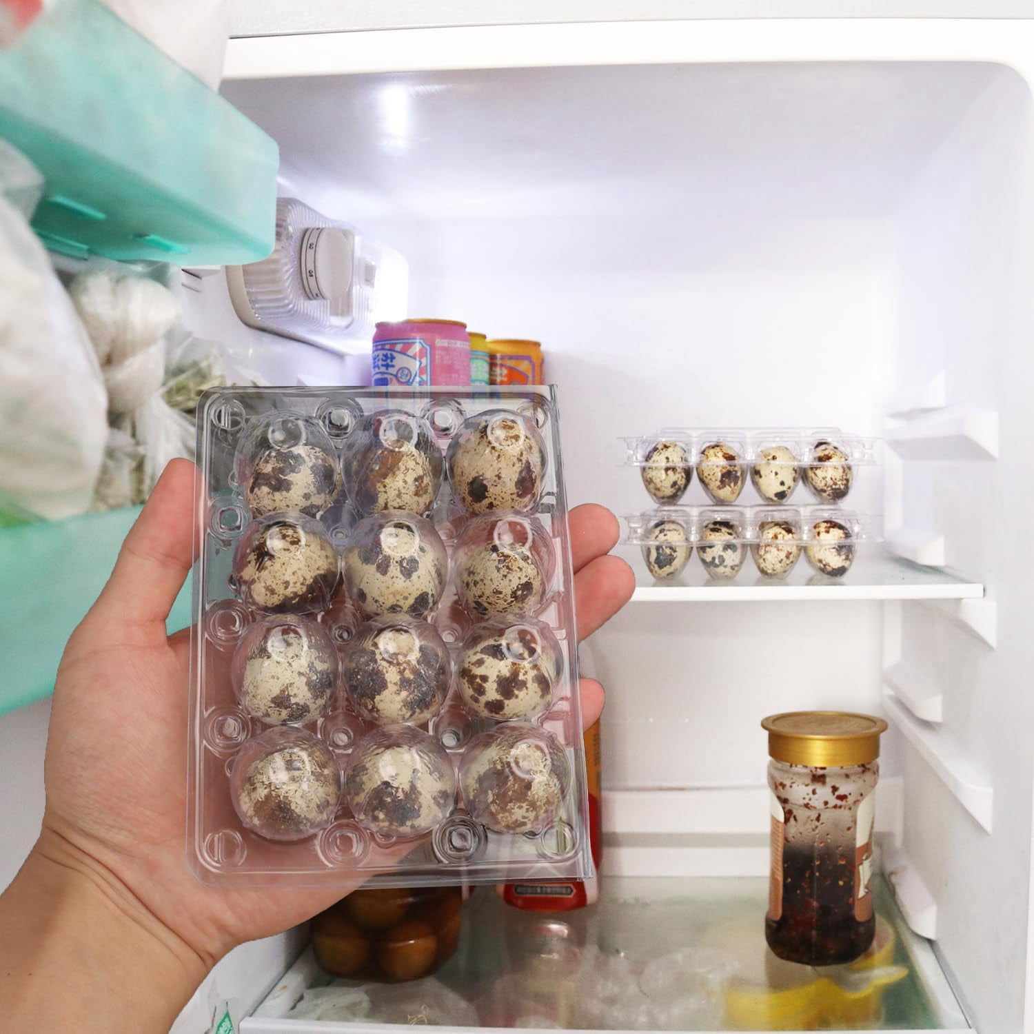 Clear Plastic Quail Egg Trays, Pack of 220 Cartons Holds 12 Eggs Securely for Bulk Storage and Display