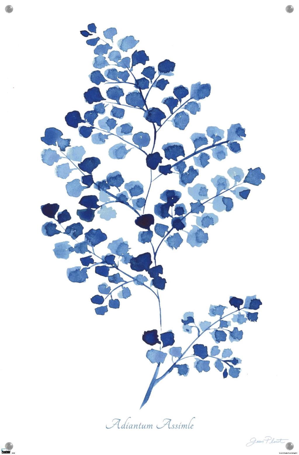 Jean Plout - Indigo Botanical Adiantum Assimle Wall Poster with Push Pins, 14.725" x 22.375"