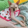 thumbnail image 5 of Ropa de verano para cachorros y gatos, chaleco con estampado de dibujos animados para mascotas, para gatos, perros pequeños, malla transpirable, precio bajo, ropa para mascotas de gatitos, 5 of 5