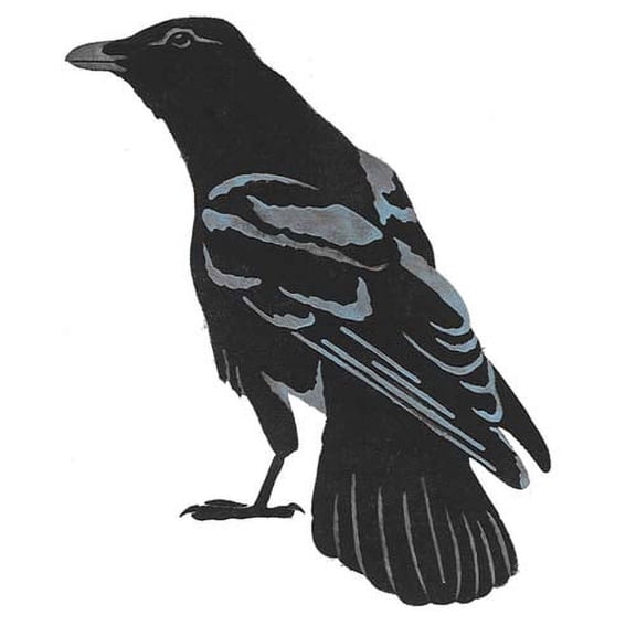 Crow Wall Stencil SKU #2961 by Designer Stencils