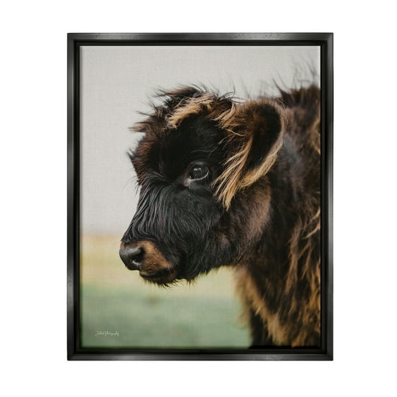 Stupell Industries Baby Cow Photography Animals & Insects Photography Black Floater Framed Art Print Wall Art, 17 x 21