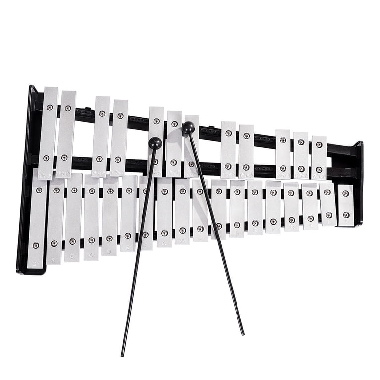 Glockenspiel Luke & Daniel JBGS0630 - 30 Piastre Cromatiche, Con Supporto Per Marching Band, Borsa E Stand Inclusi