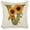 V, variant on Monogram Letter F Summer Sunflower Pillow Covers, Floral Decorative Initial 18x18 Inch Throw Pillows for Girls Kids Home Farmhouse Last Name Pillow Case for Sofa Couch Decor