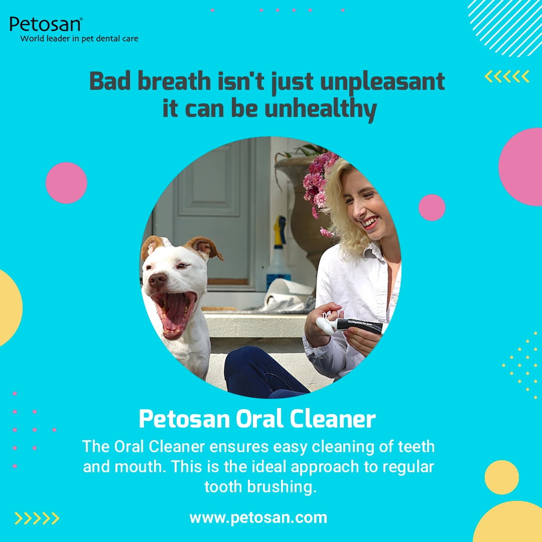 Petosan Microfiber Fingerbrush Oral Cleaner for Pets 