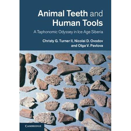 Animal Teeth And Human Tools A Taphonomic Odyssey In Ice