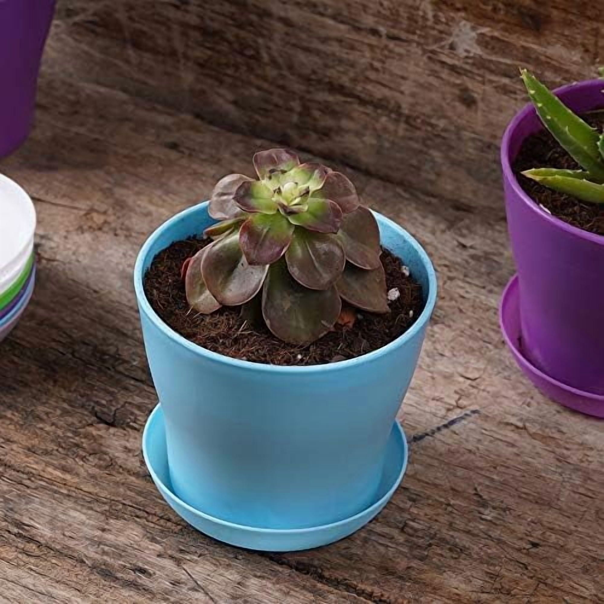 10 Pcs Plastic Planters Indoor Pots, Mini Flower Seedlings Nursery Pot with Pallet, Modern Decorative Gardening Containers