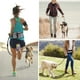 thumbnail image 3 of Bolsillos de entrenamiento para mascotas JAMW correas para perros manos libres negro, 3 of 5
