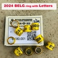 thumbnail image 5 of 10pcs  2025  BELG Pigeon Rings with Letters Cards Bird  8mm (2025 White), 5 of 7
