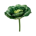 thumbnail image 2 of Lunxisen 4 Pcs Artificial Cabbage Realistic Food Props Decorative Botanical For Home Decor Wedding Kitchen Display, 2 of 7