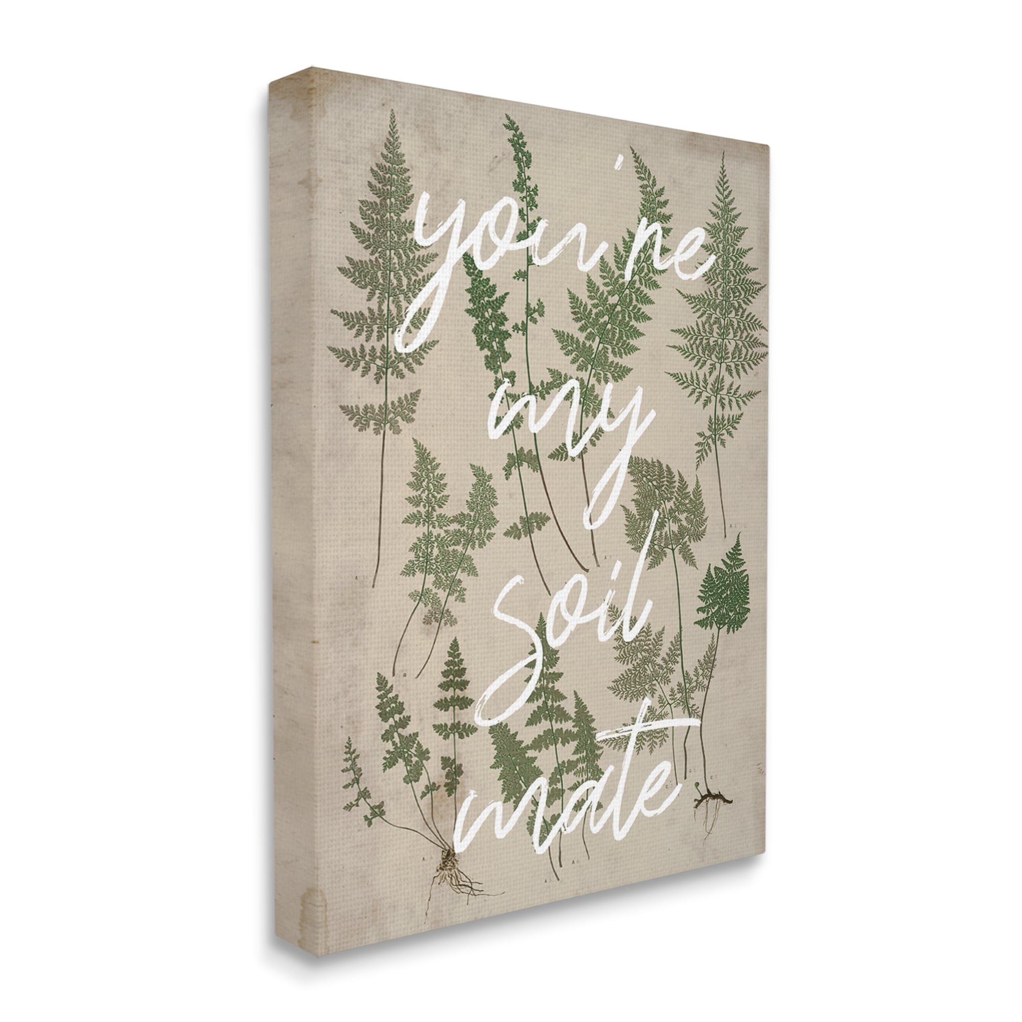 Stupell Industries You're My Soil Mate Rustic Fern Motif Calligraphy Canvas Wall Art, 24 x 30, Design by Lil' Rue