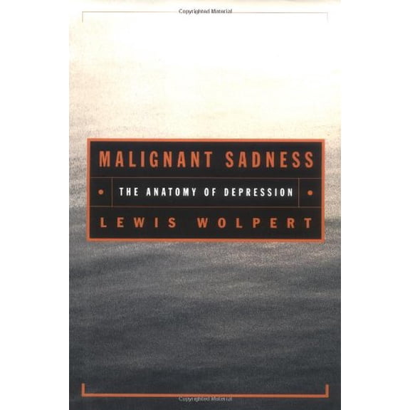 Pre-Owned Malignant Sadness: The Anatomy of Depression, 9780684870588, 0684870584, Hardcover, First Edition edition
