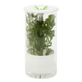 thumbnail image 2 of Honey-Can-Do Glass Herb Preserver Food Storage Jar, Clear/White, 2 of 6