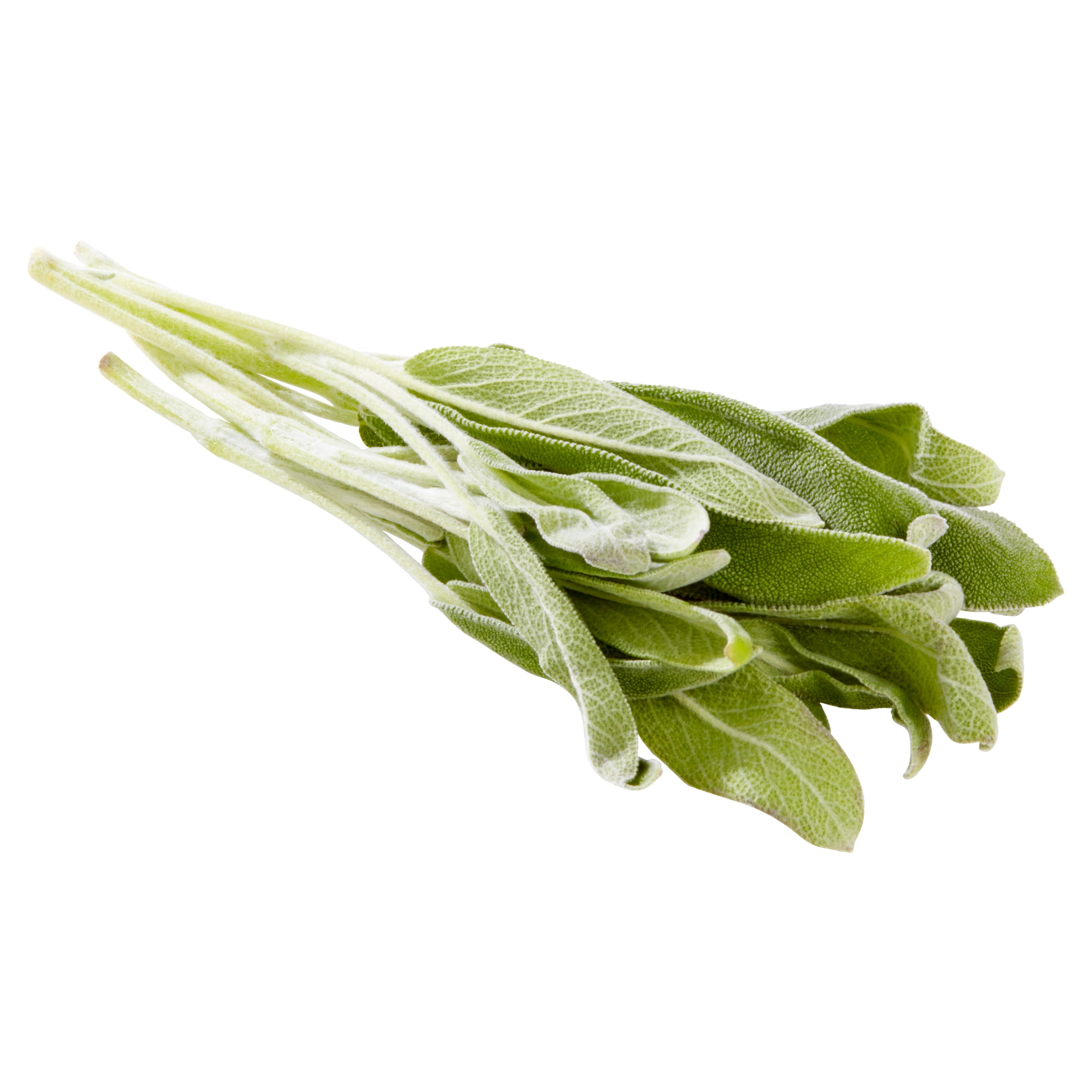 Fresh Sage, 0.5 oz Clamshell