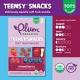 Plum Organics Plum Teensy Fruits Berry 1.75 Oz