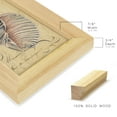 thumbnail image 2 of Seashell Ephemera V - Framed Print w/glass - Natural Wood, 2 of 8