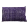 thumbnail image 1 of Ahgly Company Outdoor Rectangular Mid-Century Modern Lumbar Throw Pillow, 13 inch by 19 inch, 1 of 5