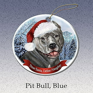 Beware Protected by Pit Bull Terrier with Attitude - Blue Nose