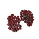 thumbnail image 2 of Bayas de Acebo Artificiales escarchadas Xihbxyly Minifrutas Navideñas Falsas Decoración de flores 12 mm, 2 of 6