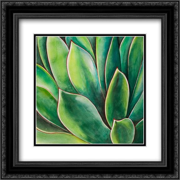 Watercolor Agave Plant 2x Matted 20x20 Black Ornate Framed Art Print by Atelier B Art Studio