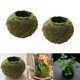 thumbnail image 1 of Maceta de flores con forma de de de 2 piezas, contenedor de plantas de bonsái en maceta de jardinería de bricolaje creativo - 15 cm shamjiam Moss Ball Maceta, 1 of 7