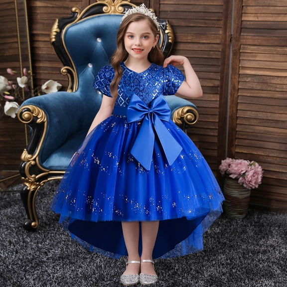 Little Girl Dresses Formal Dresses for Girls Blue Dress Girls Fancy Dresses Children's Day Dresses for Girls 4-5 Years